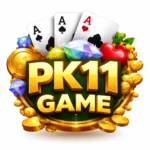 PK11 Game