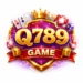 Q789 Game