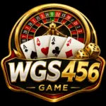 WGS456 Game